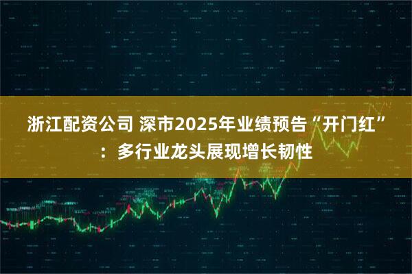 浙江配资公司 深市2025年业绩预告“开门红”：多行业龙头展现增长韧性