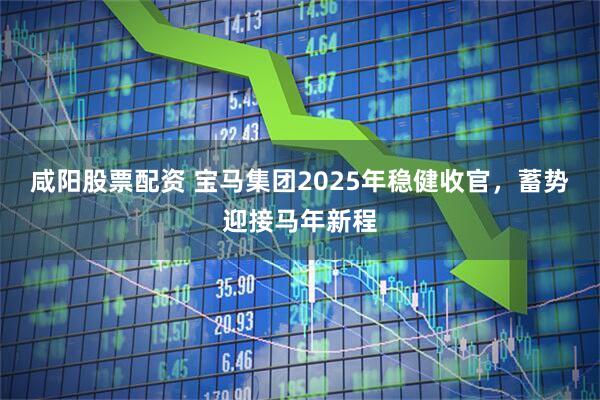 咸阳股票配资 宝马集团2025年稳健收官，蓄势迎接马年新程